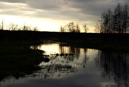 foto Skansen, 2005