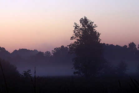 foto Sunrise, 2005