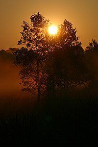foto Sunrise, 2005