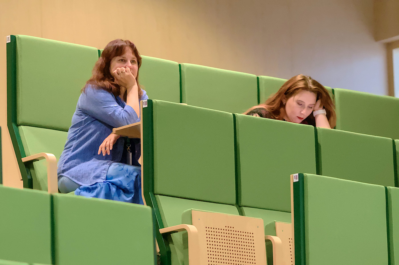 foto XLII WGMP and XIV School (2025)